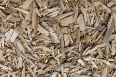 biomass boilers Gill